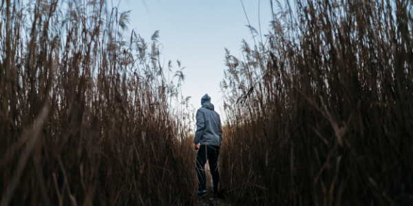 A person running through cornfields with a hoodie